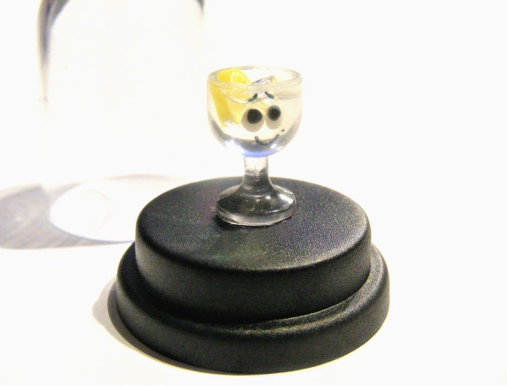 Pet Gin or Vodka, Pet Vodka, Pet Gin, Gin lover, Vodka lover, Novelty gift