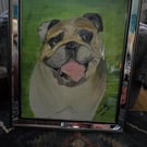 English bulldog painting - Freya