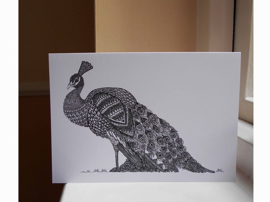 Peacock Greetings Card