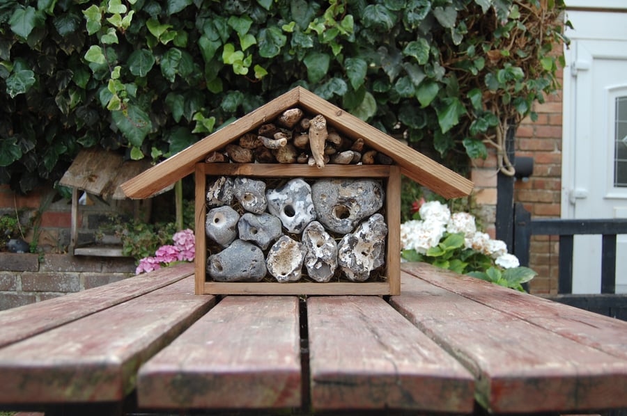 Insect bug bee house