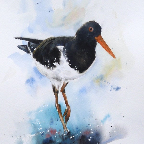 Oystercatcher, Original Watercolour Painting.