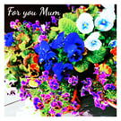 For You Mum  Greeting Card - for birthdays, Mother's Day or just because