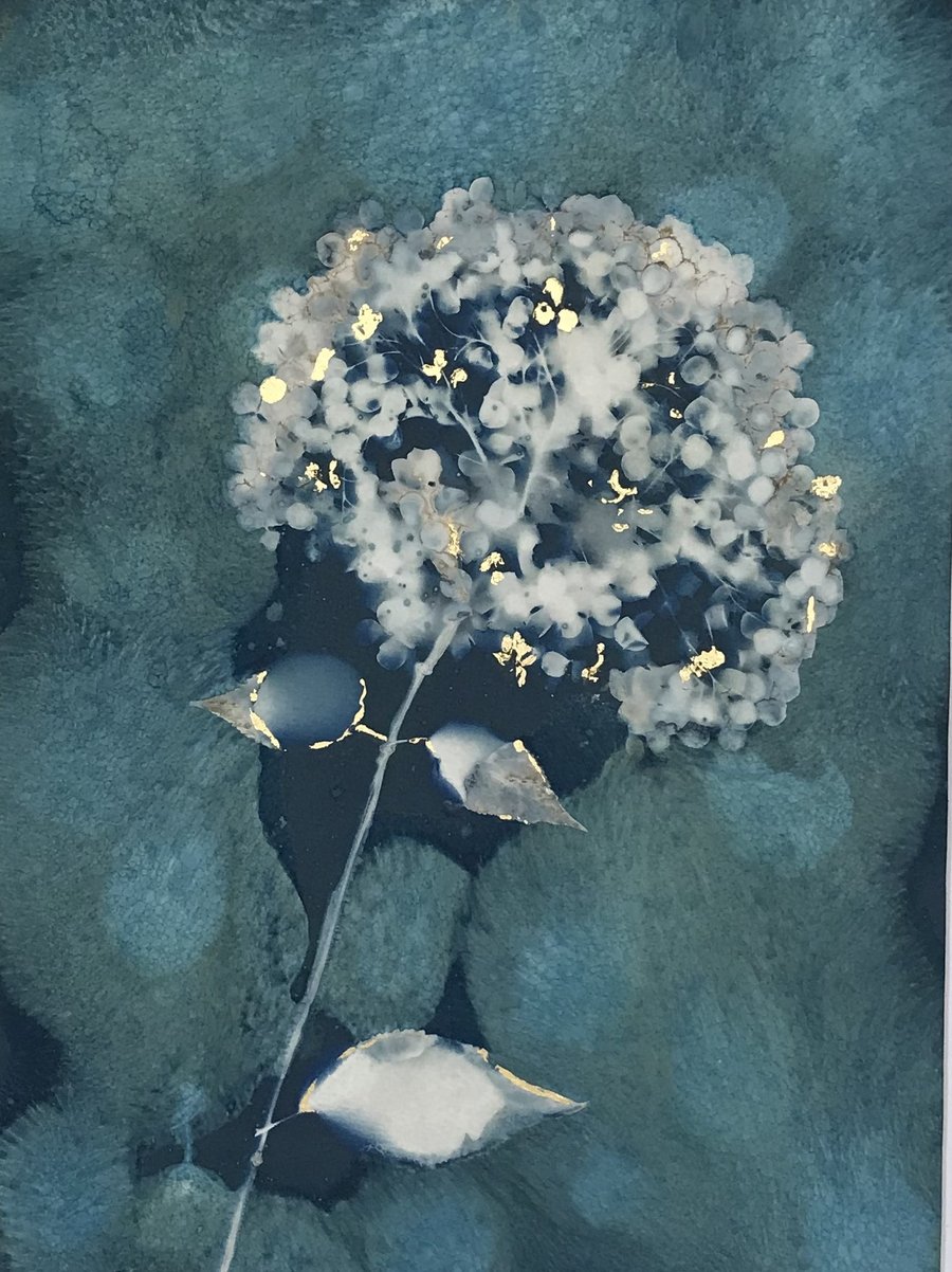 Botanical gift. Cyanotype Art. Hydrangea Annabelle flower. Perfect present 