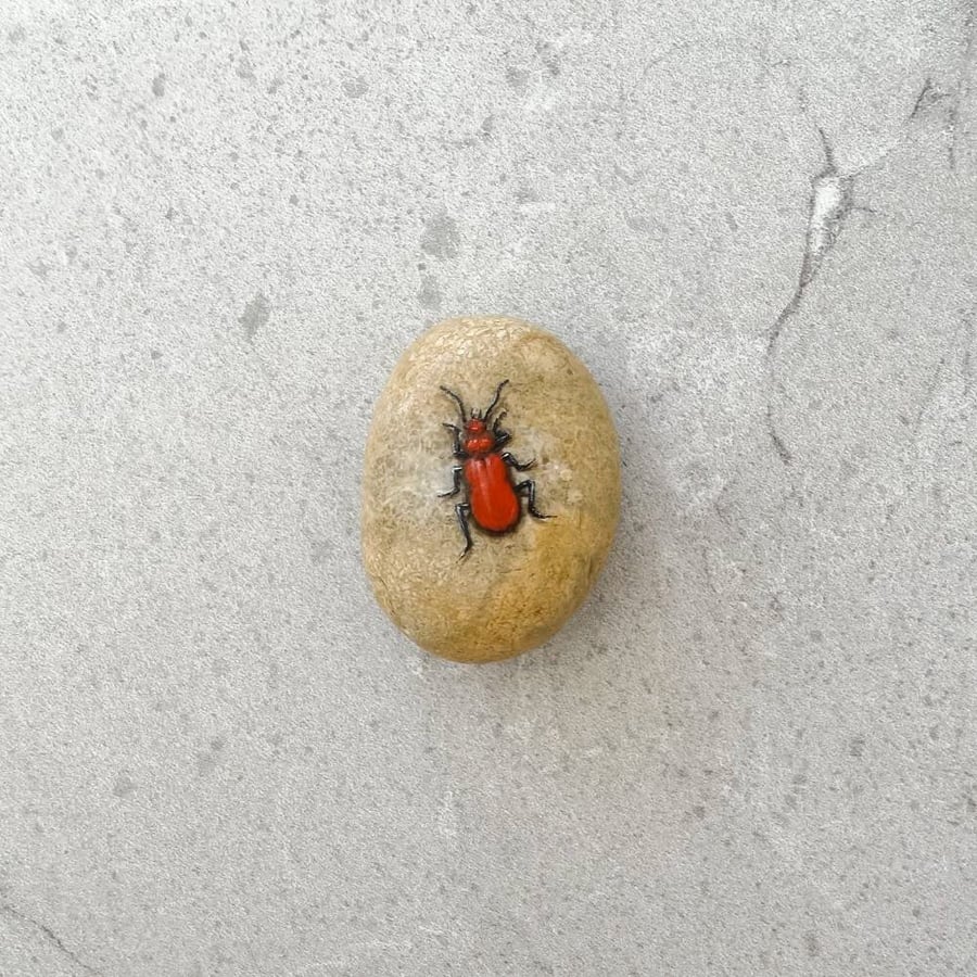 Original Art Nature Wildlife Hand Painted Stone Pebble Cardinal Beetle