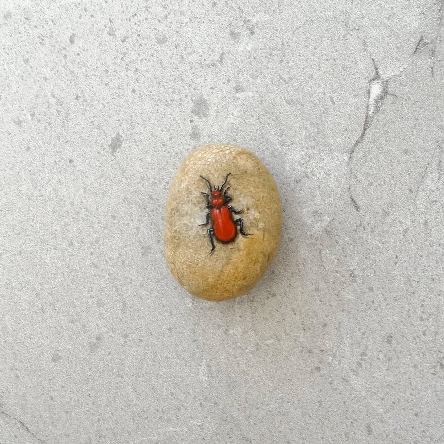 Insect  Beetle Art Hand Painted Stone Pebble 'Cardinal Beetle'