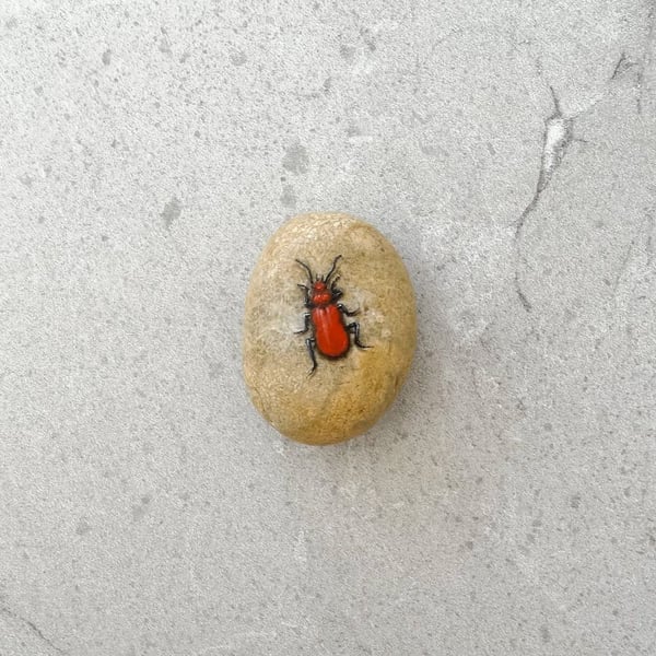 Insect  Beetle Art Hand Painted Stone Pebble 'Cardinal Beetle'