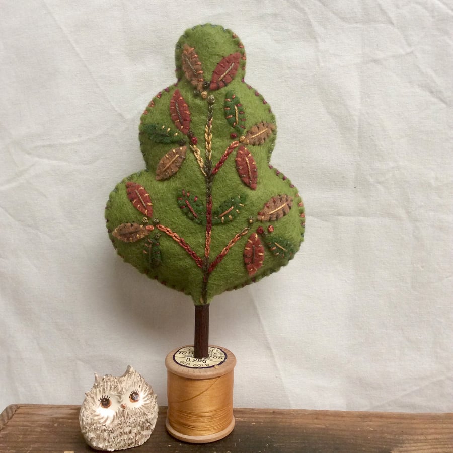 Cotton reel tree - bold green with variegated leaves