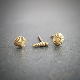 Gold seashell and ammonite stud earrings, set of three