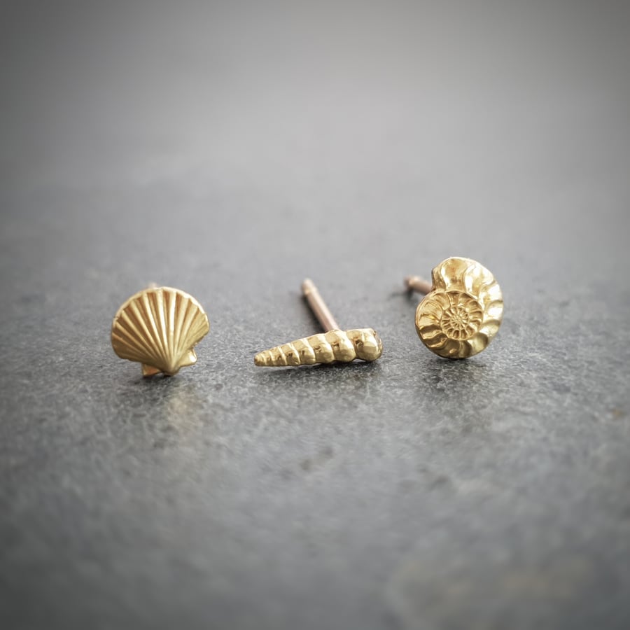 Gold seashell and ammonite stud earrings, set o - Folksy