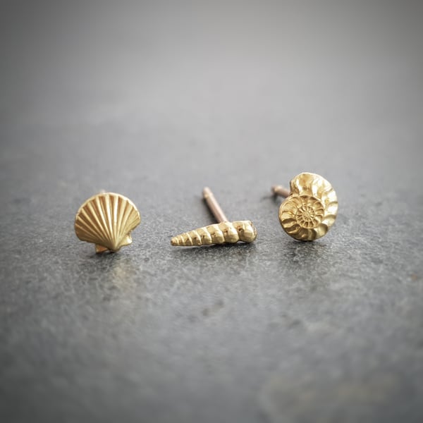 Gold seashell and ammonite stud earrings set in recycled gold