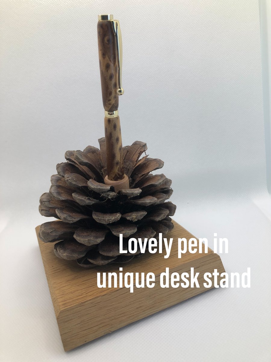 Pen and stand trophy or presentation set