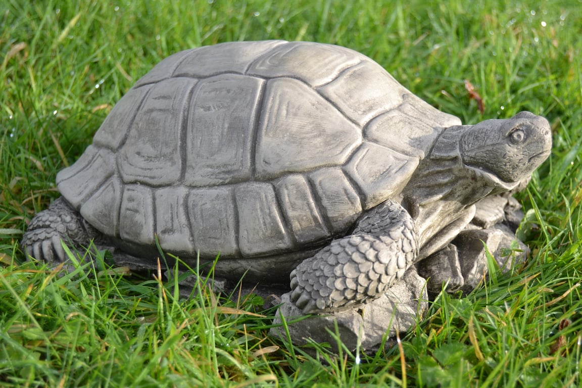 Timmy the Tortoise Stone Garden Ornament