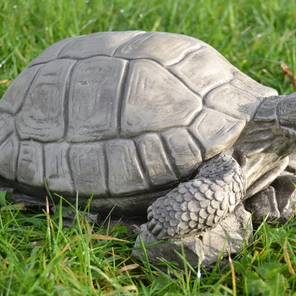 Timmy the Tortoise Stone Garden Ornament