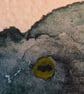 Original Watercolour Octopus  - Image 2