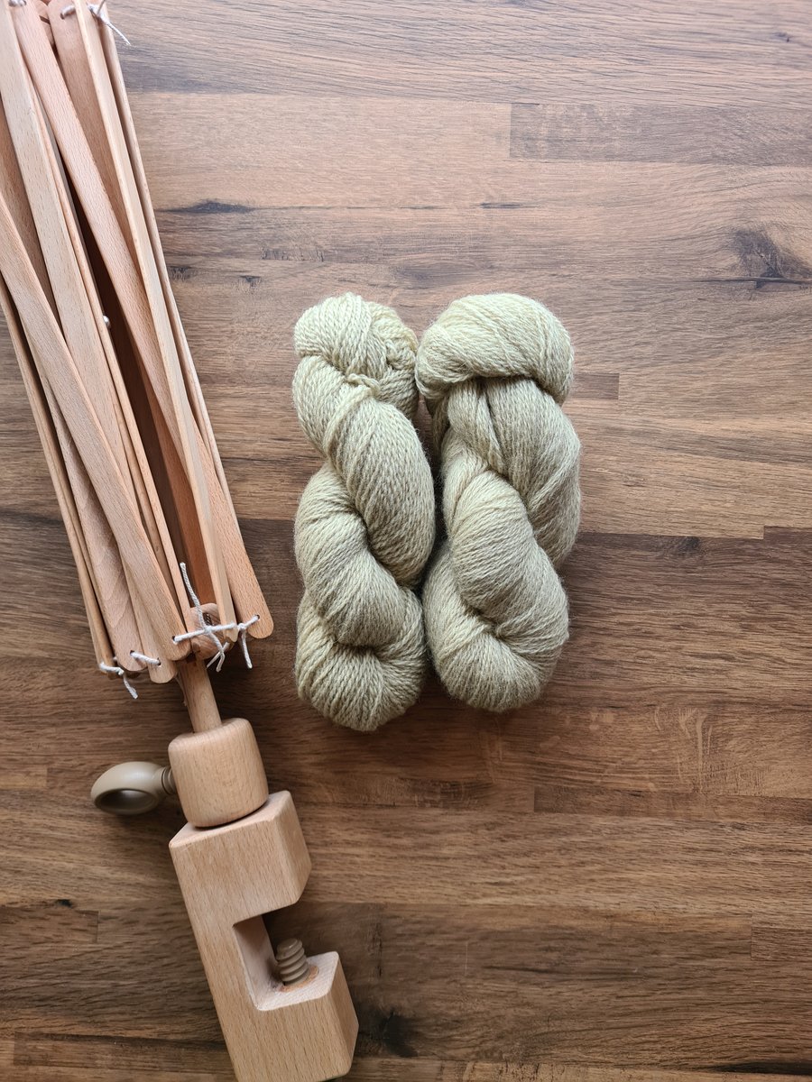 Naturally plant dyed non-superwash British Romney DK Wooltrace wool yarn