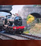 TRAIN PHOTOS 12 X 8