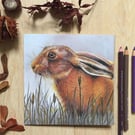 Winter Hare Blank Greeting Card