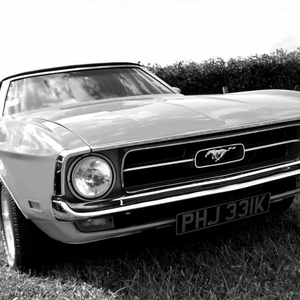 Ford Mustang Sports Car Photograph Print