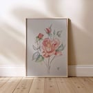 Pale Pink Vintage Rose Watercolour – Limited Edition A4 Print