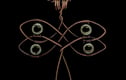 Insects