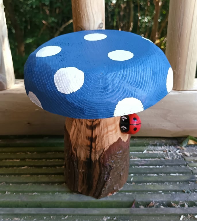 Dark blue toadstool
