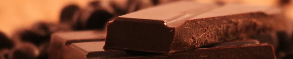 Cocoa Tabby Chocolate Shop