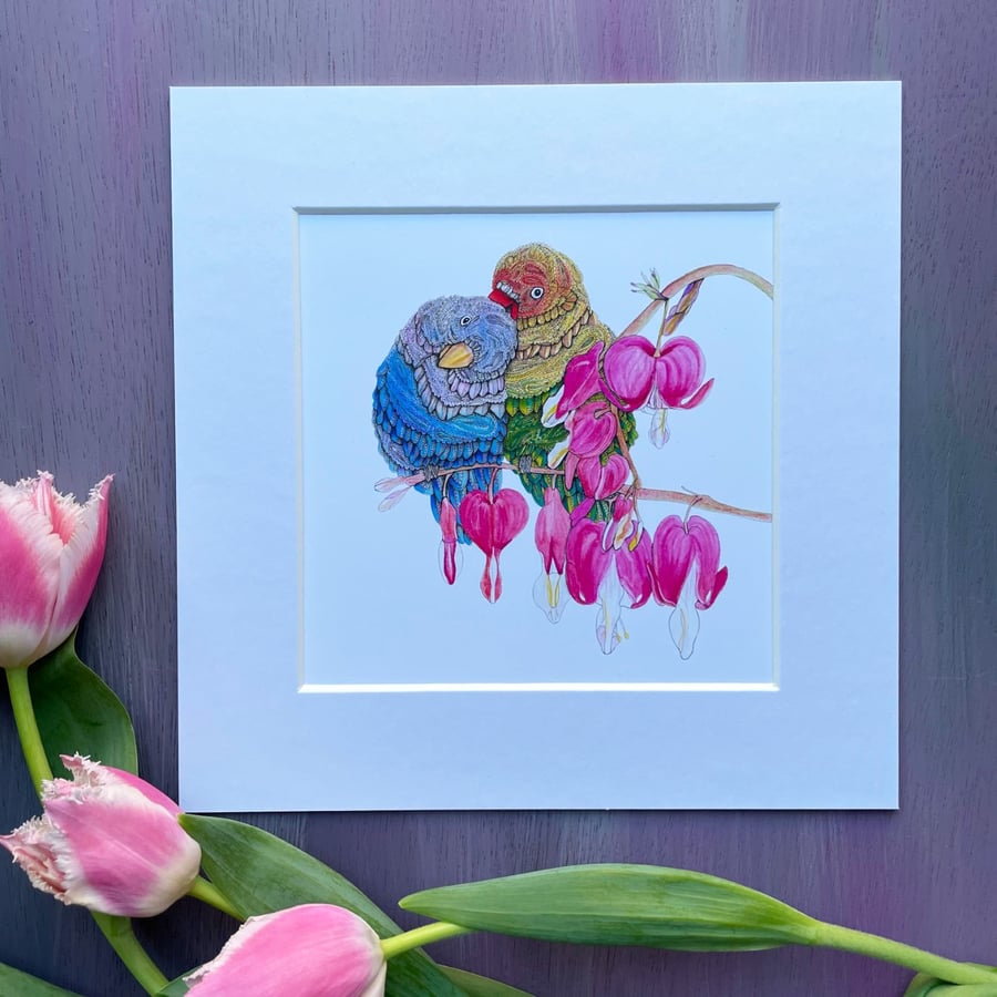 LIMITED EDITION 'Love Birds' 8" x 8" Mounted Print