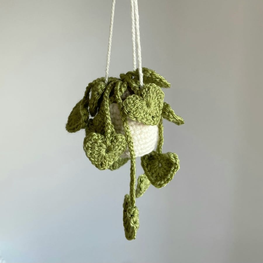 Crochet Hanging Plant 