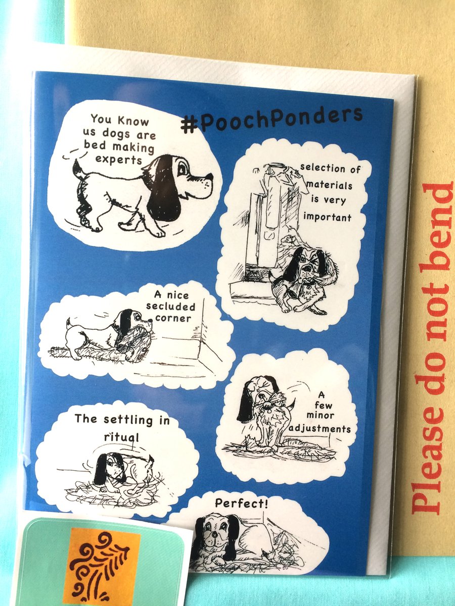 Card- Pooch Ponders Bed Making