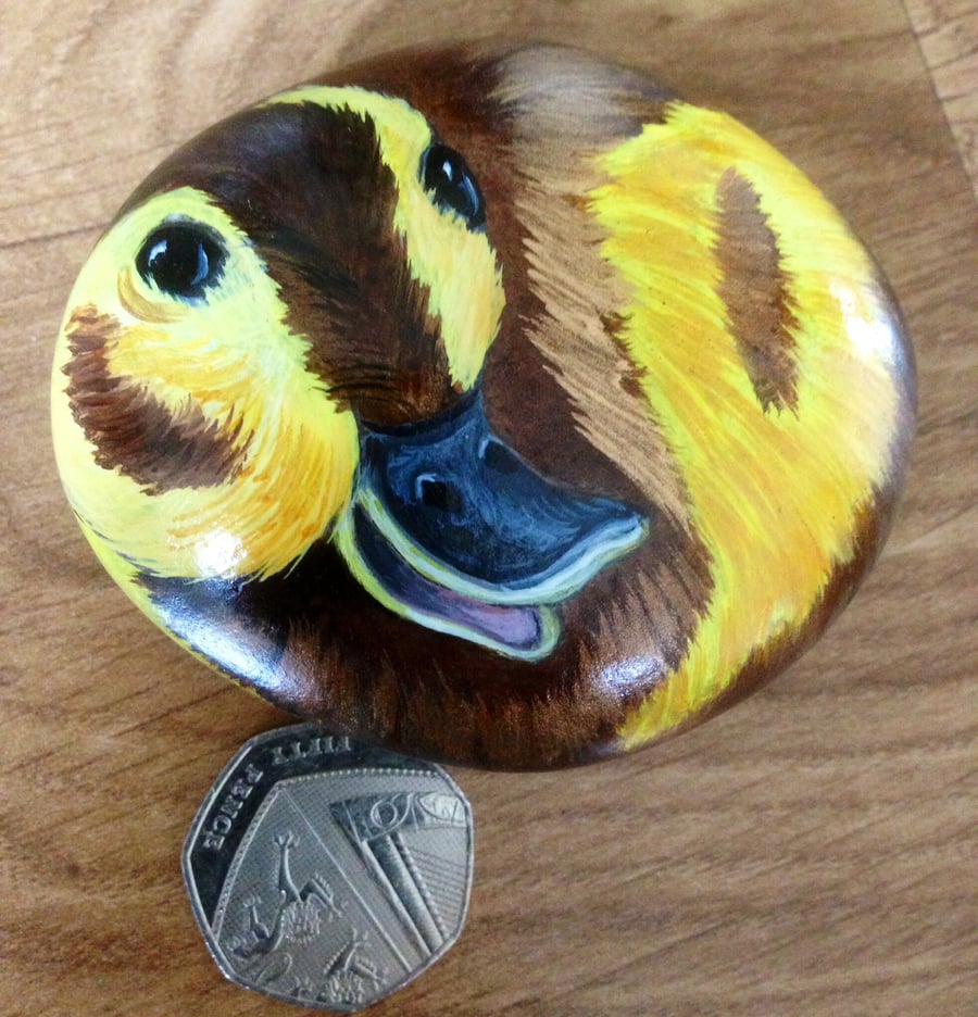 Hand painted rock duck