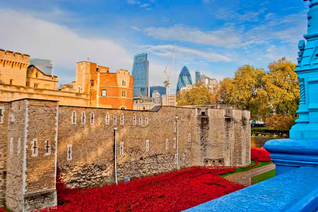 Tower Of London Poppies Red Poppy England Photograph Print
