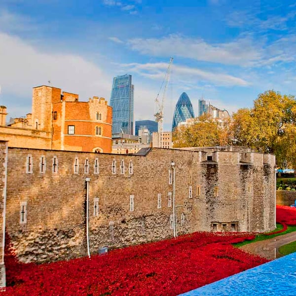 Tower Of London Poppies Red Poppy England Photograph Print
