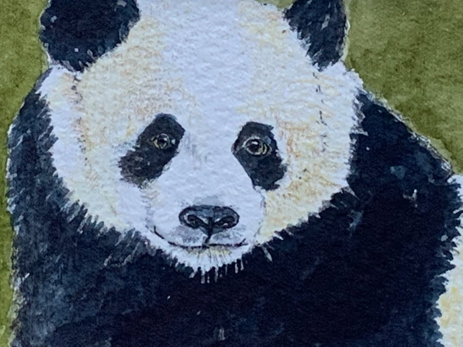 Watercolour of a Panda ACEO - free UK postage 