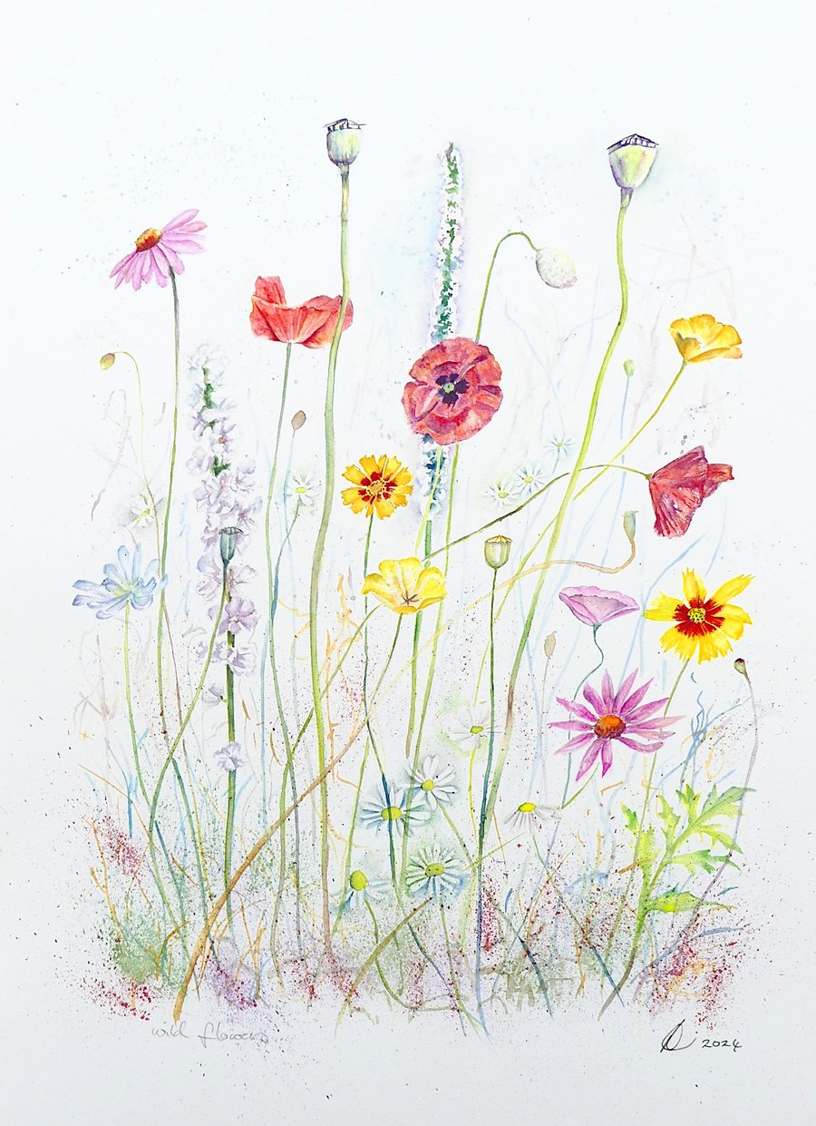 Wild Flowers Original Modern Botanical Watercolour Painting Colourful Botanical 