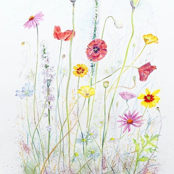 Wild Flowers Original Modern Botanical Watercolour Painting Colourful Botanical 