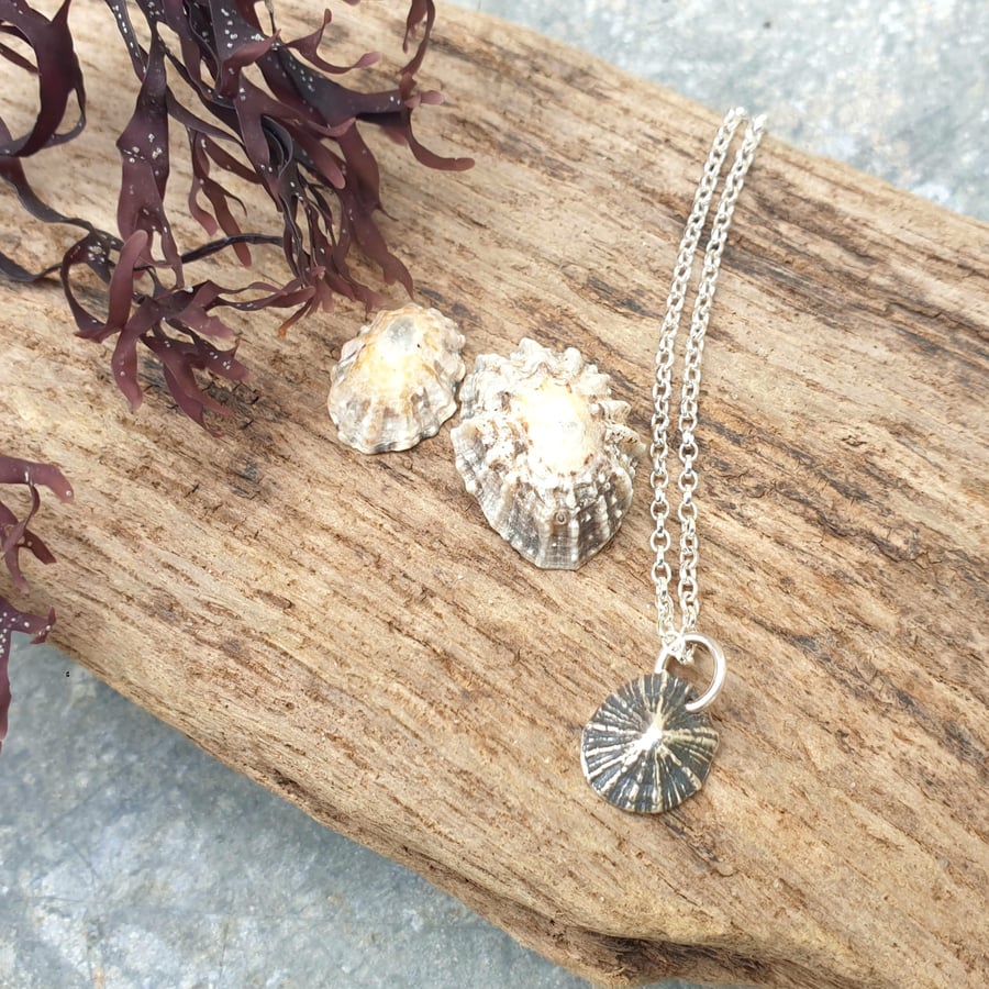 Small Silver limpet shell pendant