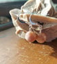 Sterling Silver Facetted Peach Moonstone Earrings - Image 1