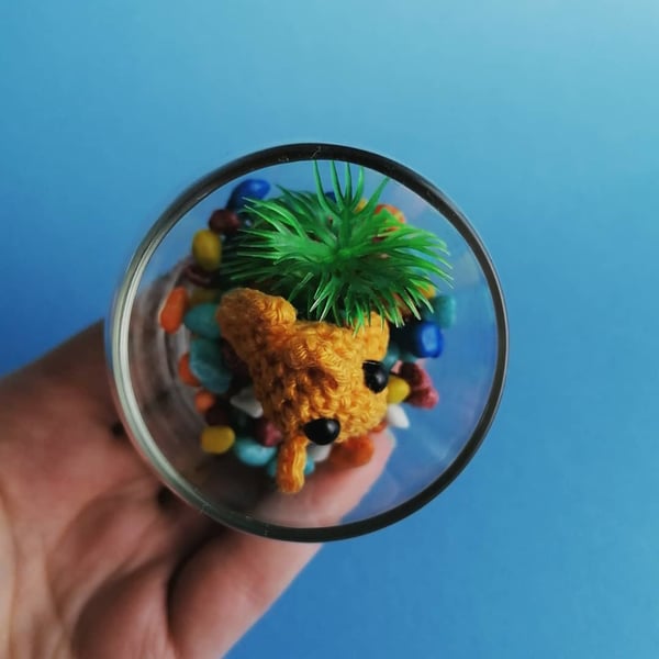 Custom Order: No Fuss Jellyfish Jar