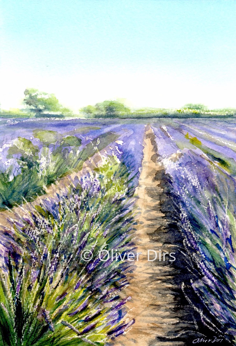 Somerset Lavender Fields – original watercolour and acrylic painting, framed