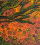 Autumn Glow