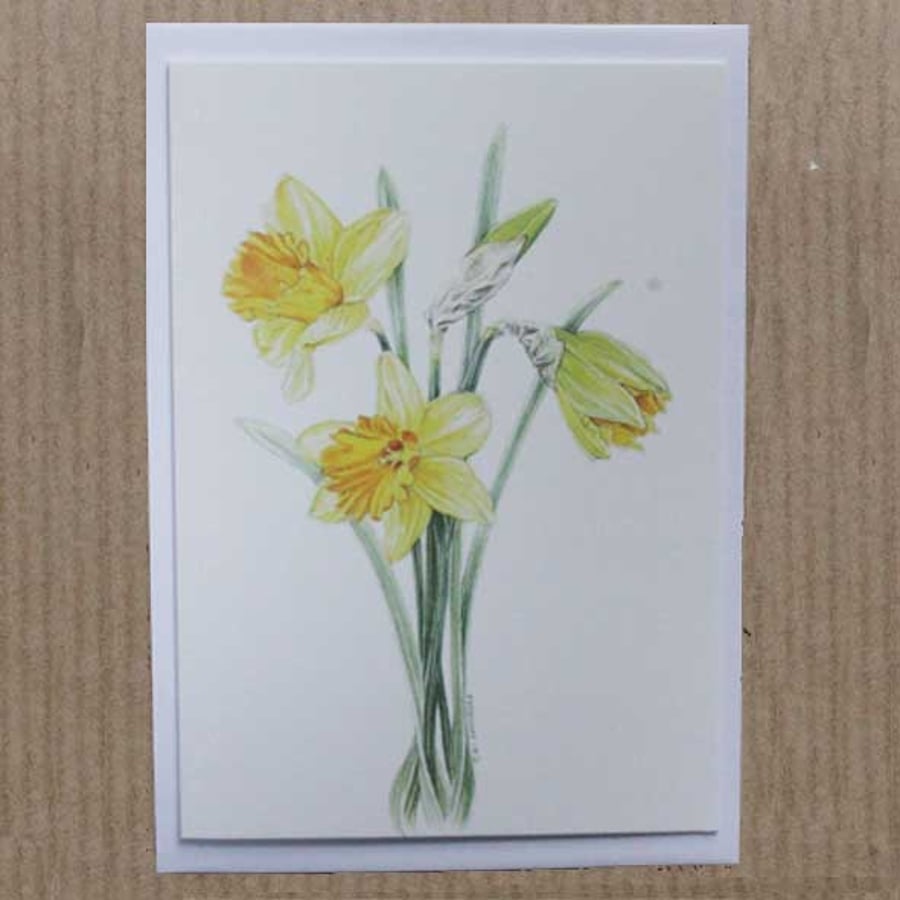 Daffodils greetings card (single or pack of 5) with white envelope