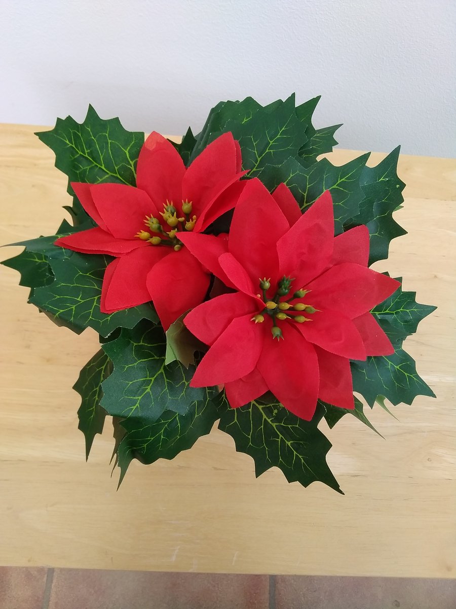 Festive Tartan Tin with Red Poinsettias and Holly