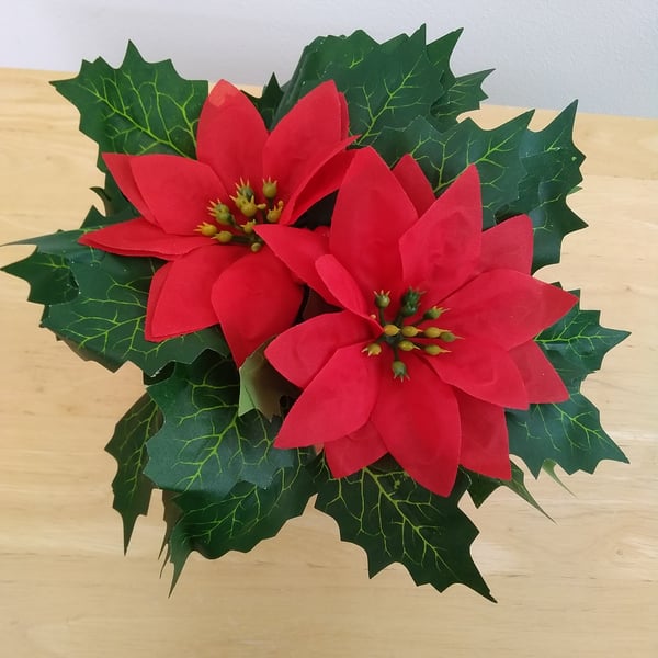 Festive Tartan Tin with Red Poinsettias and Holly