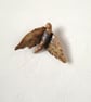 Nature Sprite Wall Art for outdoors and indoors - Image 2