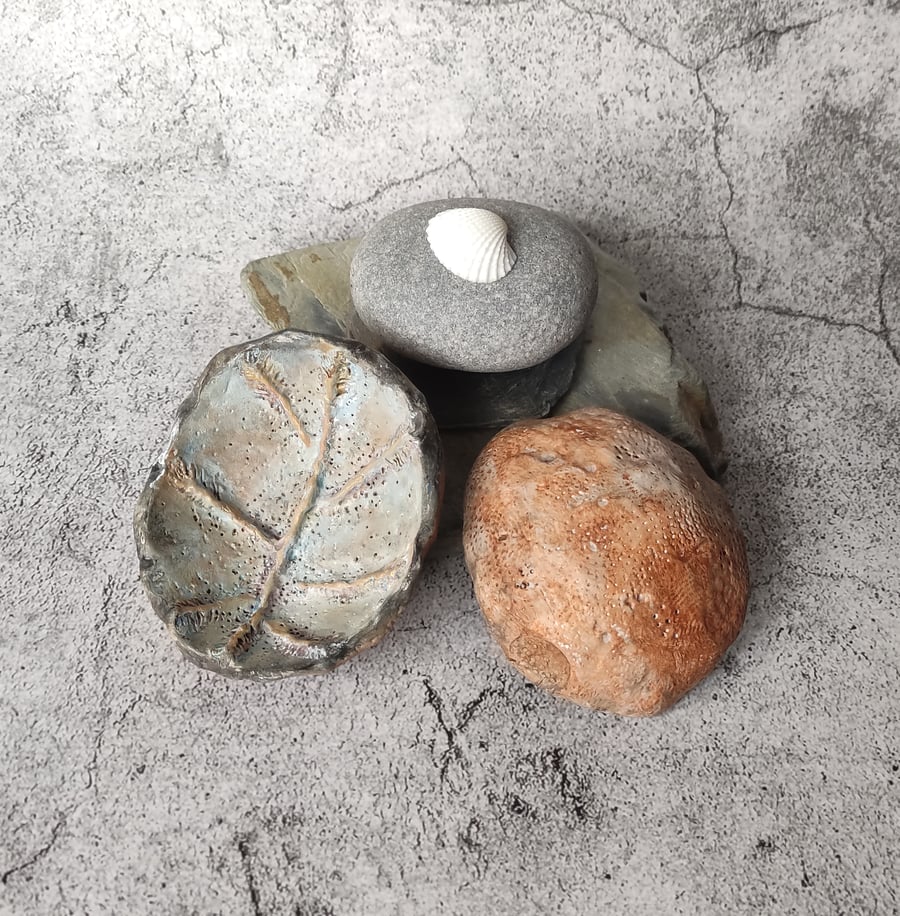 Beach Fossil Bowl, Clay Pastel Trinket Dish, Handmade Ceramic Vessel