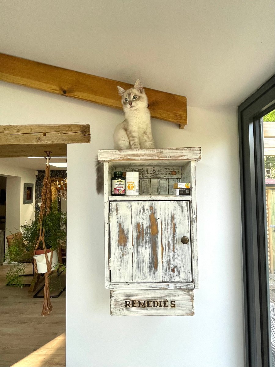 Medicine Cabinet, First Aid, Remedies, Alchemy Cabinet, Drug Cupboard, Safe Stor