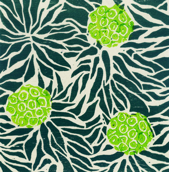 'Euphorbia' card. woodblock print