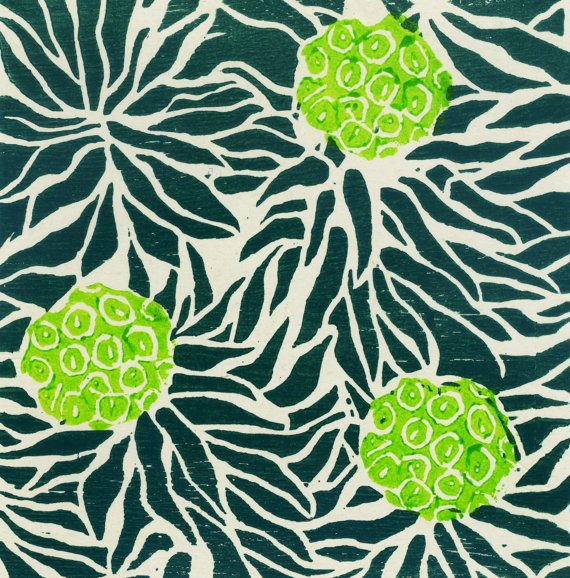 'Euphorbia' card. woodblock print