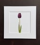 'Tulip' 8" x 8" Mounted Print