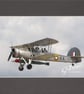 CJ191 - Swordfish - Image 2